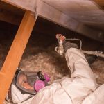 Mold Removal Southwest Portland OR