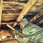 Mold Removal Southwest Portland OR
