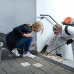 Mold Removal Kerns Oregon