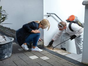 Mold Removal Kerns Oregon