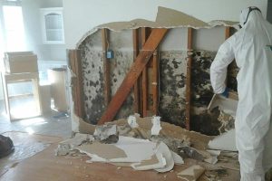 Mold Removal Overlook Portland Oregon