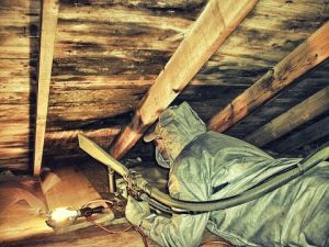 Mold Removal West Portland Park Portland Oregon