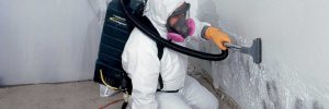 Mold Removal West Portland Park Portland Oregon