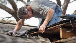 Mold Removal Sellwood Moreland Portland Oregon