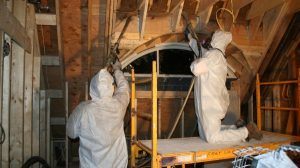 Mold Removal Sellwood Moreland Portland Oregon