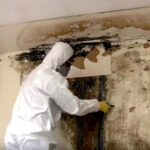 Mold Removal Northeast Portland Oregon